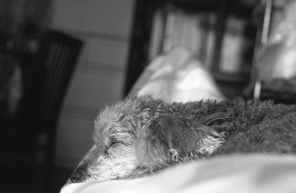 １月のＡー１monochrome（Ⅱ）