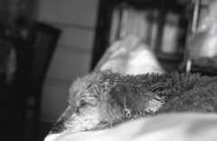 １月のＡー１monochrome（Ⅱ）