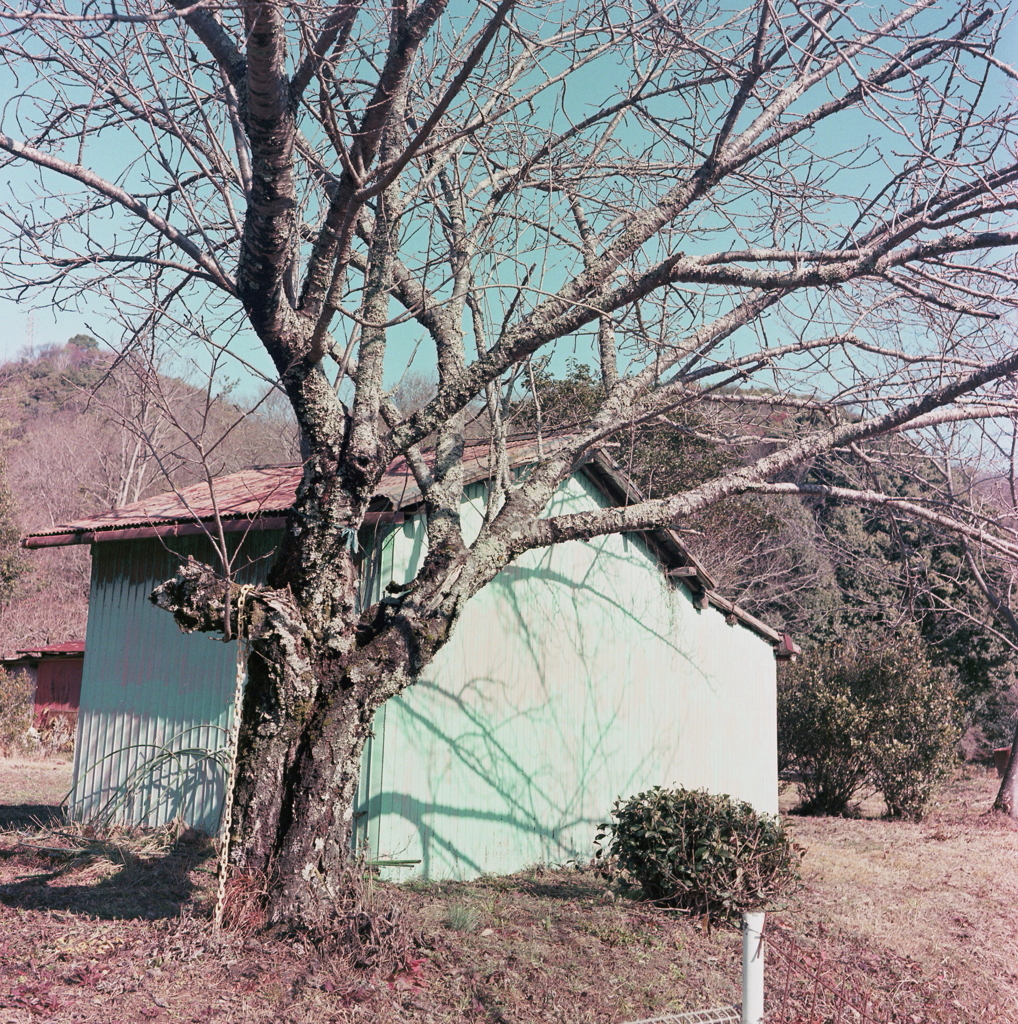 カラフルな物置小屋