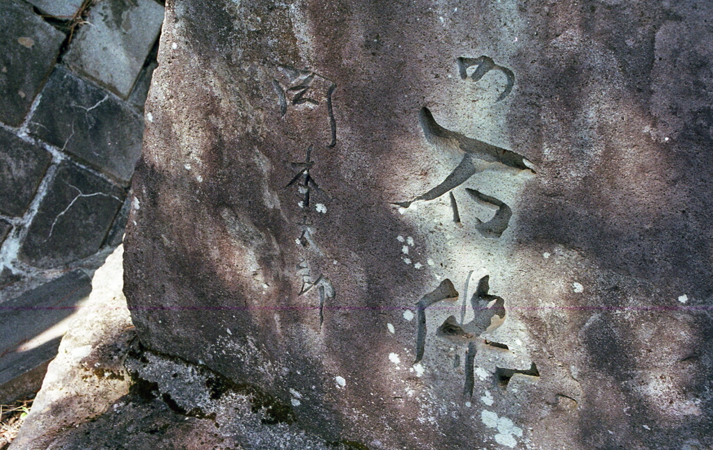 春の陽ざしを受ける太郎の書