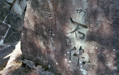 春の陽ざしを受ける太郎の書