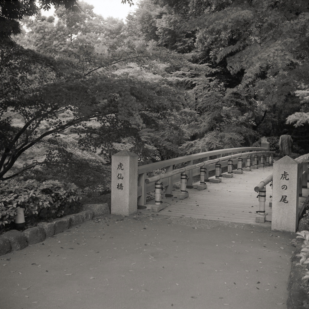 虎仙橋から…