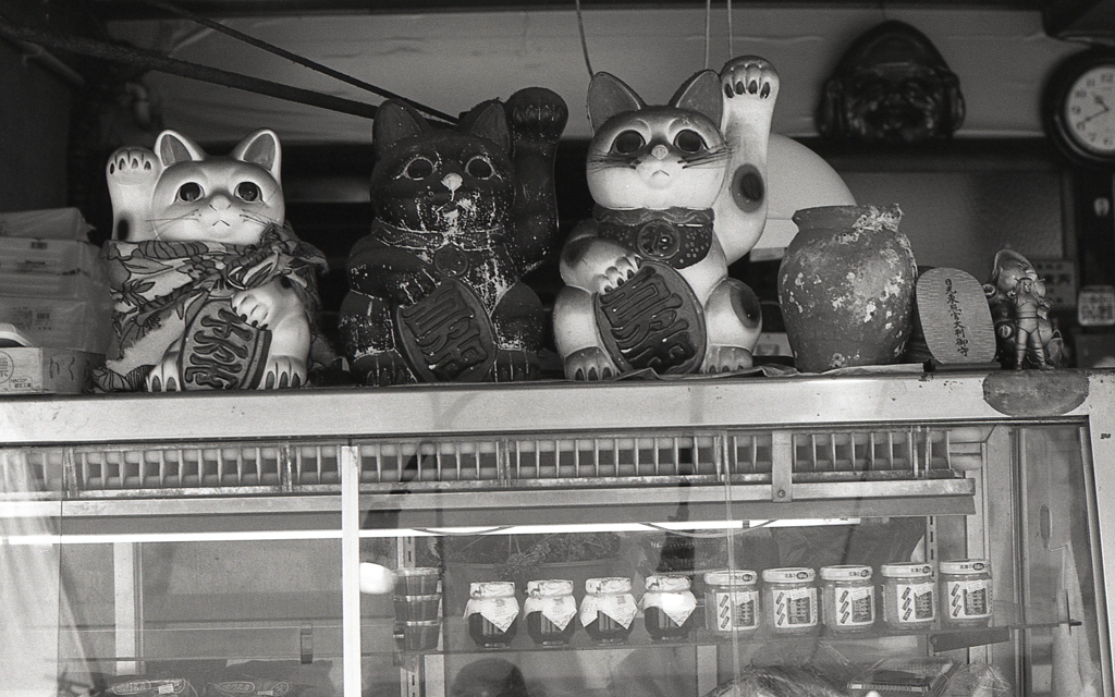 店内の招き猫　～2018年７月撮影