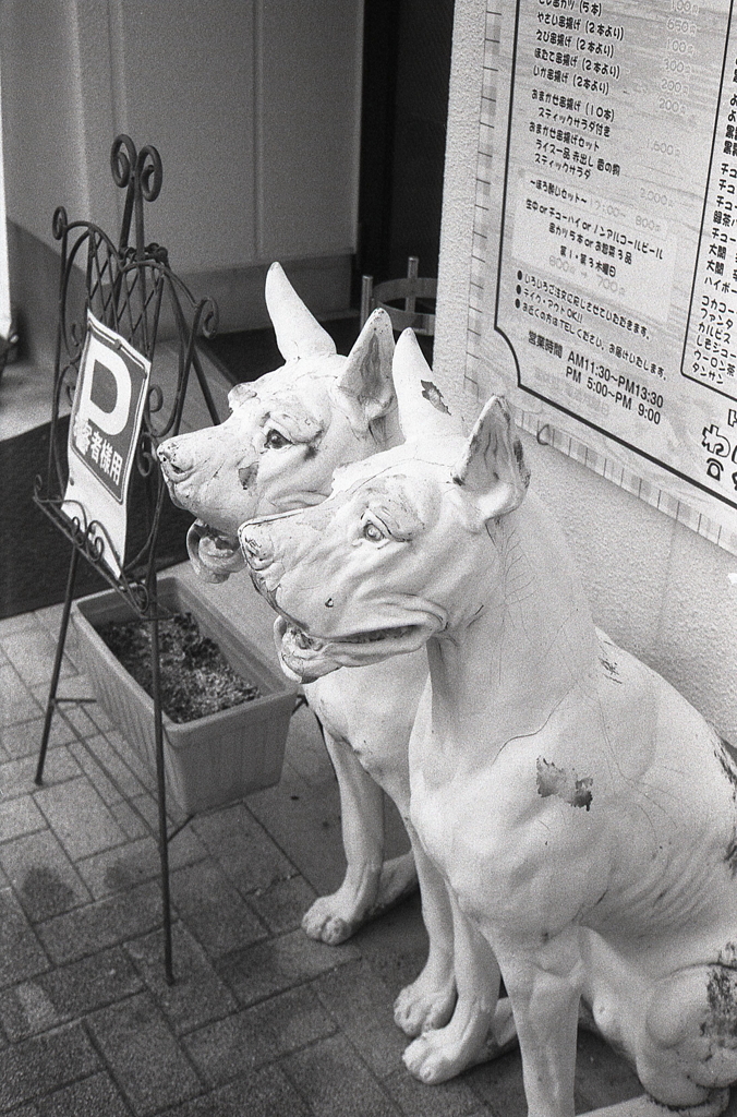 店前のツードッグ