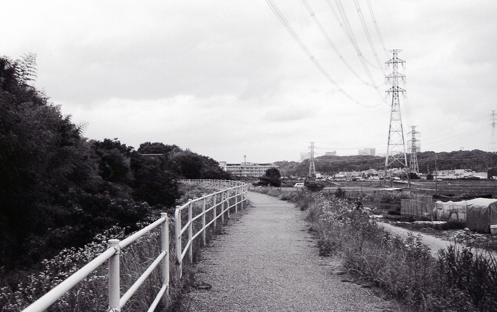 そして走り出したんだが…（汗