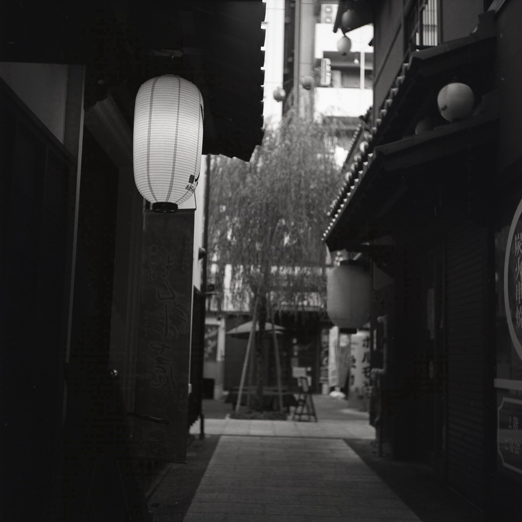 小町の提灯