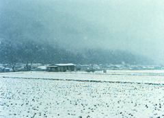 下和田の雪景色