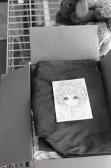 「孫への宅急便」　or　「魔女（家内）の宅急便」