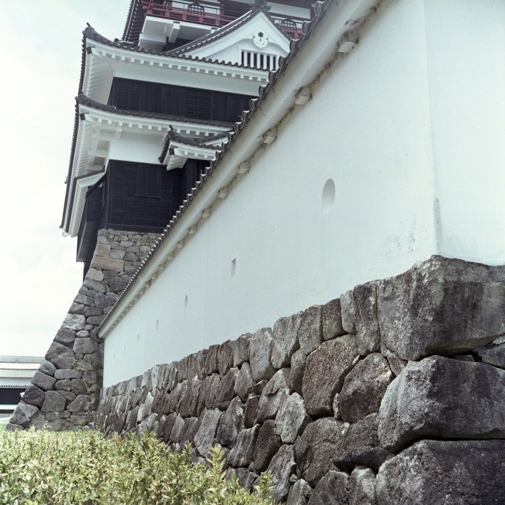 清洲城後背のアングル