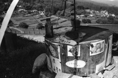 マタタビもあります。（笑