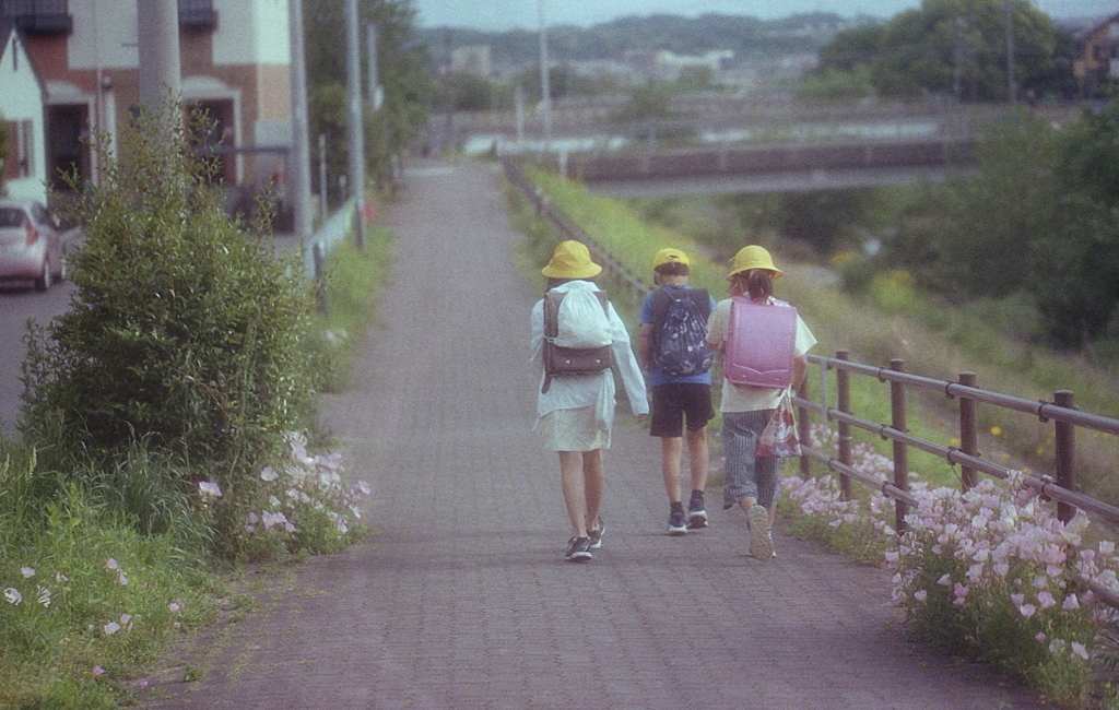 月見草咲く通学路