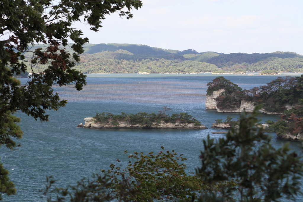 木陰から松島湾の浮島等々…