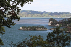 木陰から松島湾の浮島等々…