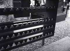 菅原道真に見守られ　～さよならPEN…