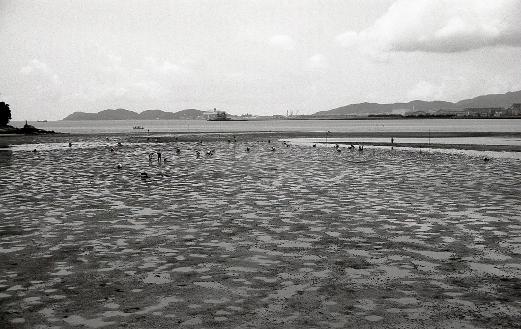 昭和九十六年の潮干狩り風景