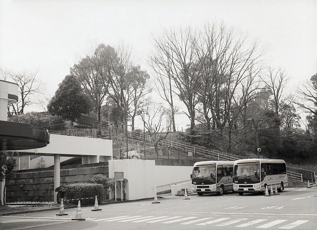 日曜日のコロナ検査