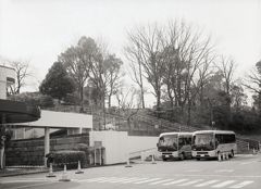 日曜日のコロナ検査