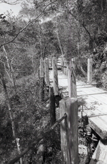 山の桟橋