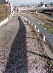 ガードレールの導線　～ある男の朝ぶら散歩