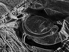 放蕩オヤジのなれの果て…