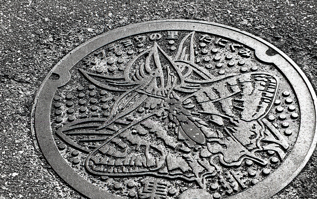 ギフチョウの里たにぐみ