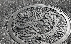 ギフチョウの里たにぐみ