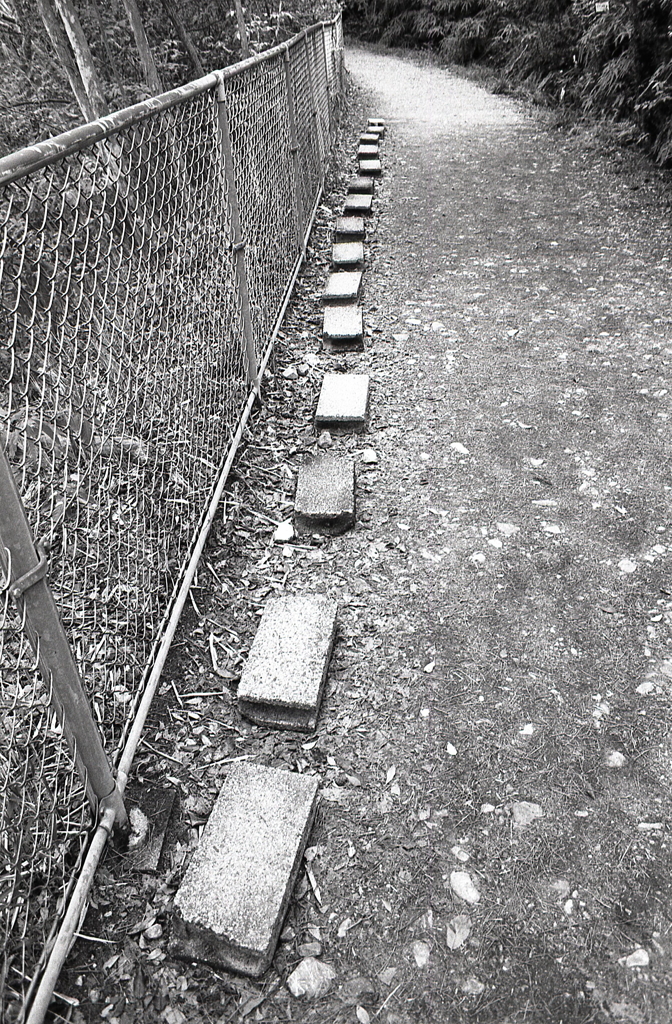 ブロック沿いに駐車場へ歩く