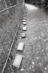 ブロック沿いに駐車場へ歩く