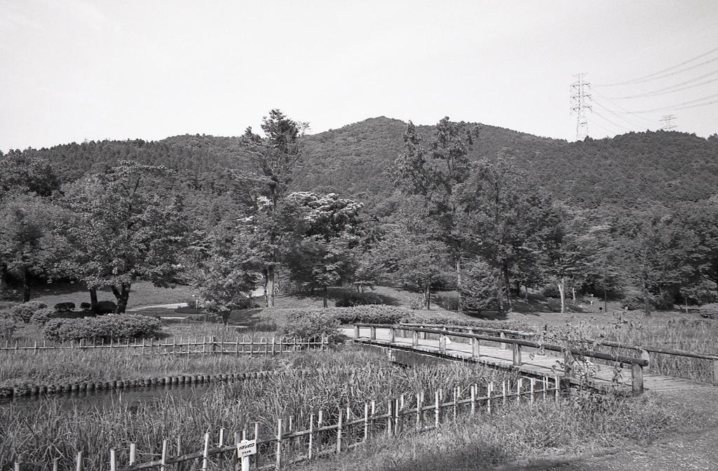 植物園から弥勒山