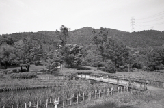 植物園から弥勒山