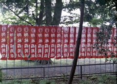 木陰に続く赤幟