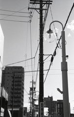 透明硝子の街灯