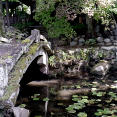 池に架かる石橋