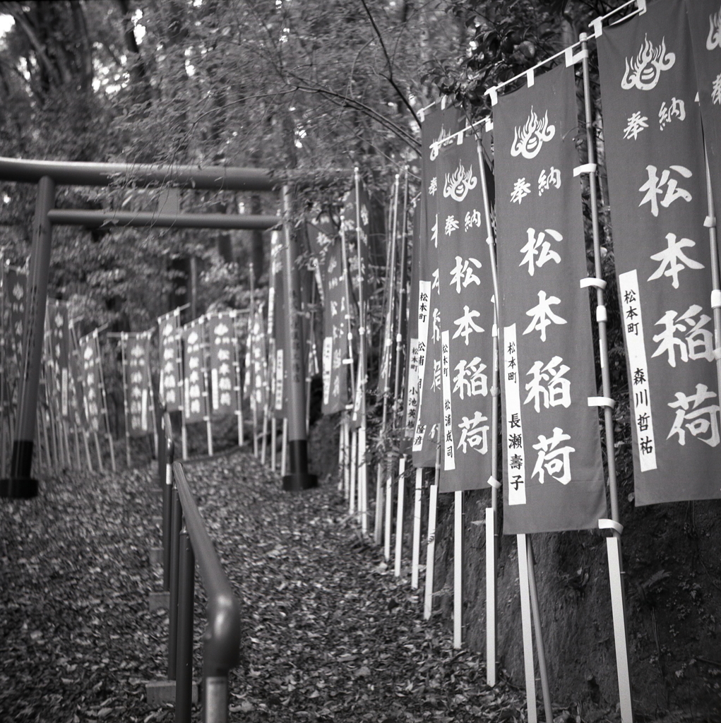 幟の並ぶ参道