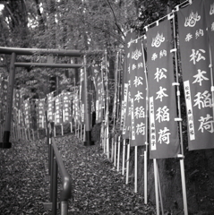 幟の並ぶ参道