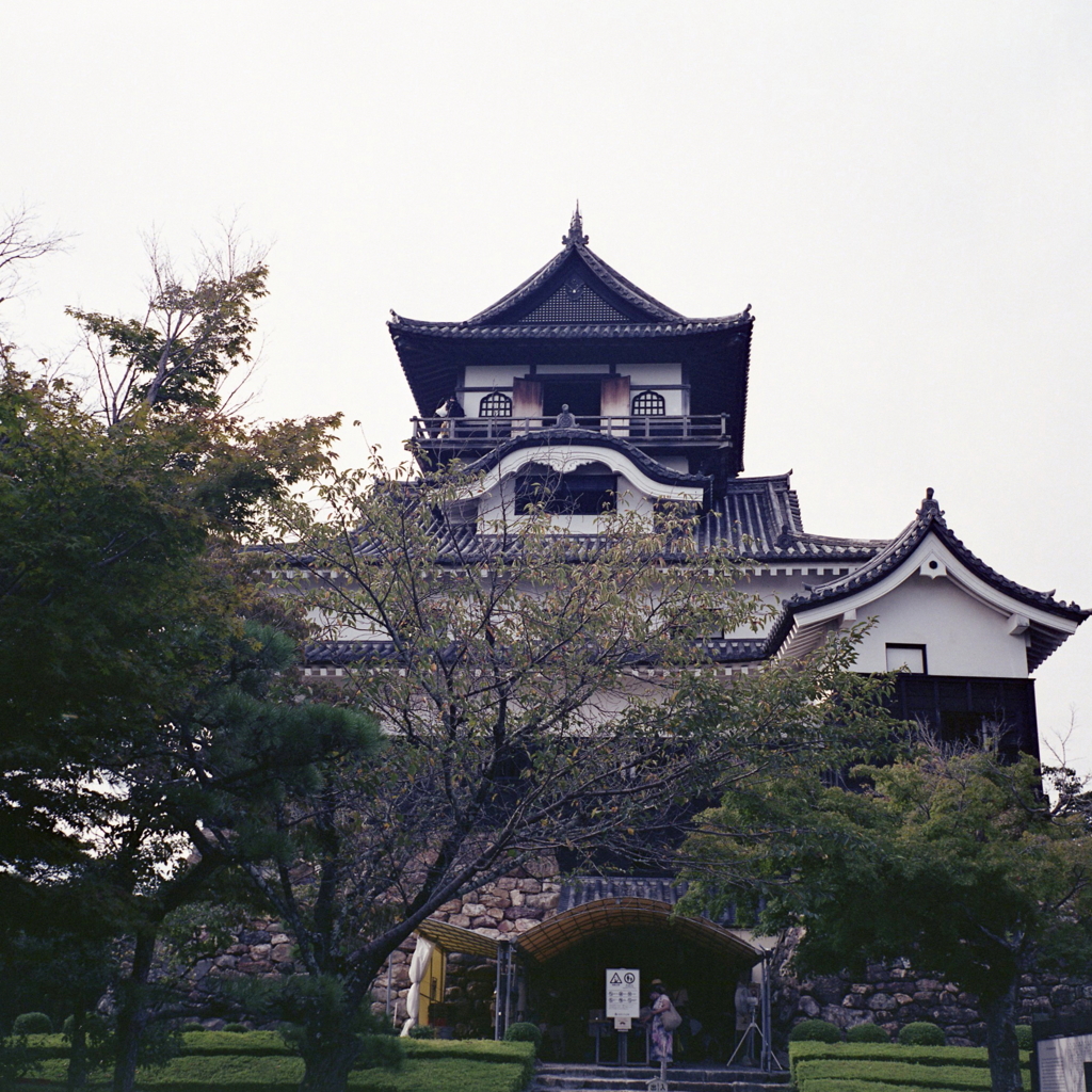 国宝犬山城