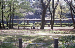 藤棚が色づき始めていた。