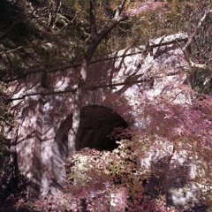 秋紅葉に同化する煉瓦トンネル　～定光寺トンネル群