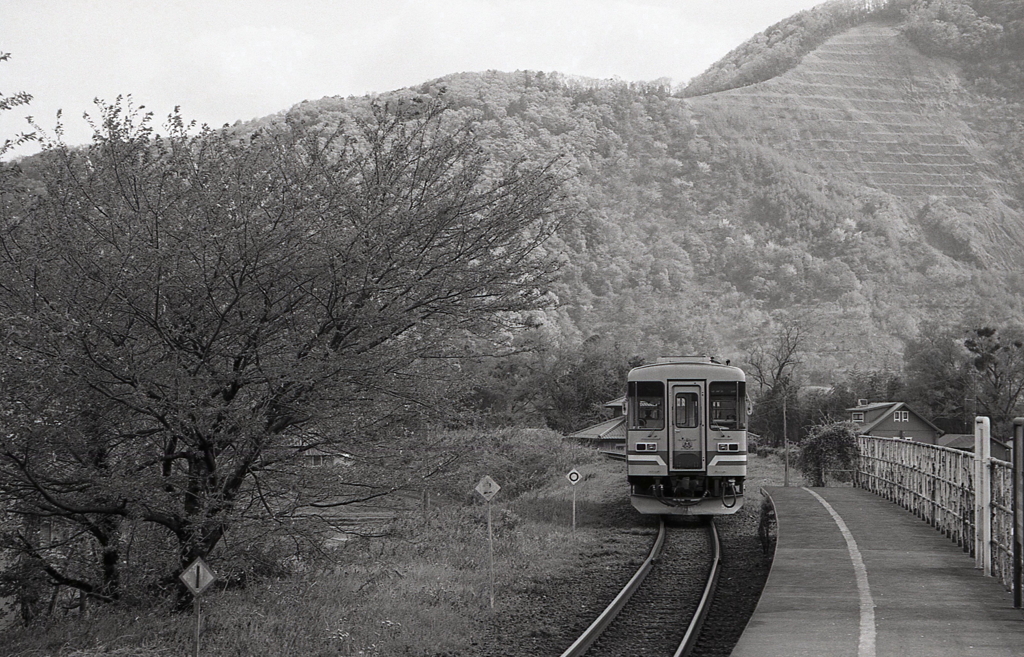 山間に走る樽見鉄道