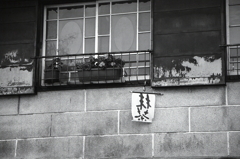 抹茶あります。（笑