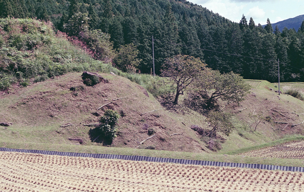 棚田からのアングル