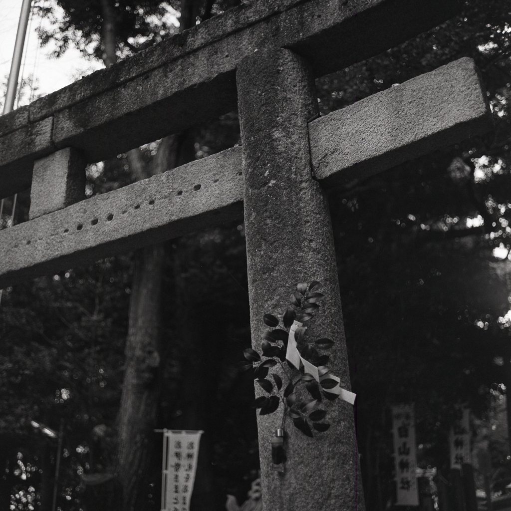 石鳥居のしきび