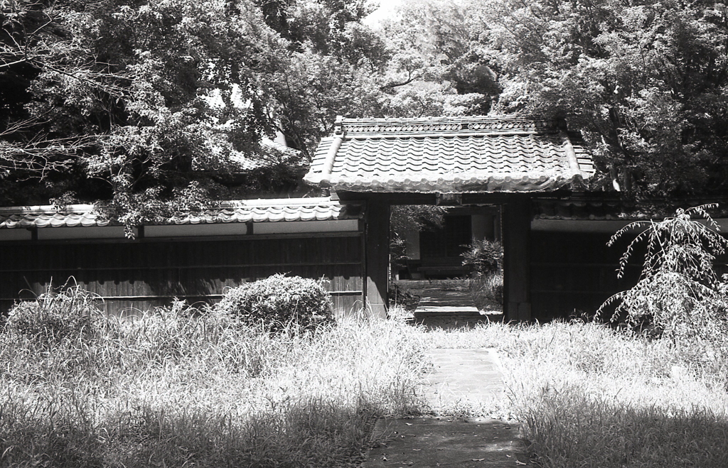 真夏の寺門風景