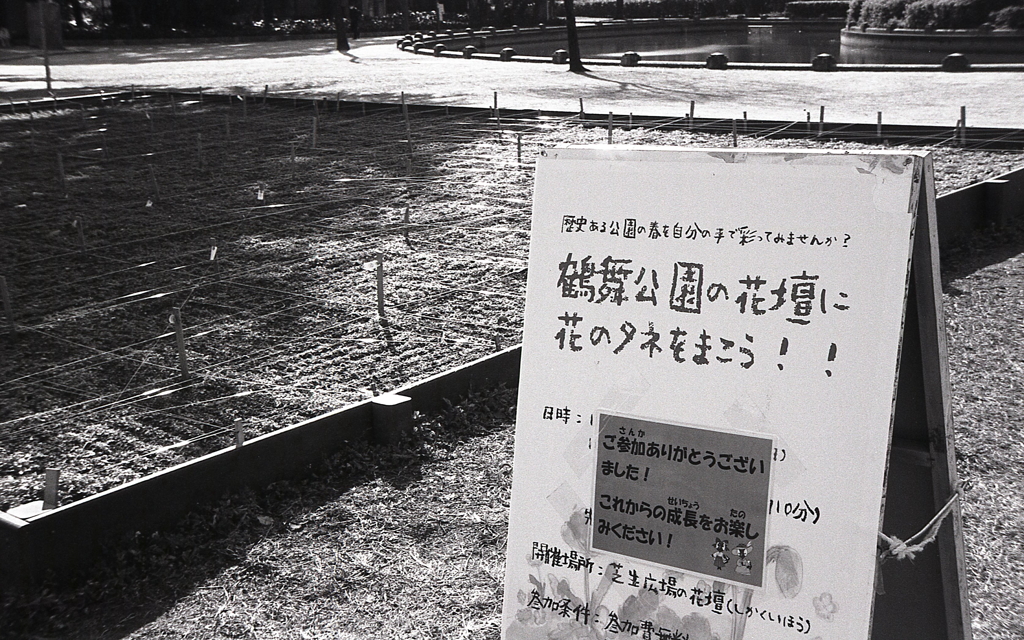 鶴舞公園の花壇