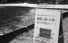 鶴舞公園の花壇