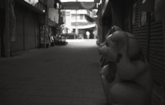 薄明かりで寂しそう