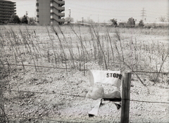 最後のニュース  by 井上陽水