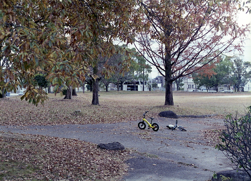 秋色の公園で小さな自転車