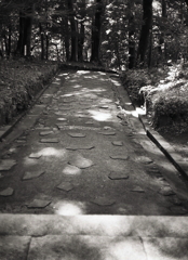 門前の木漏れ日の参道