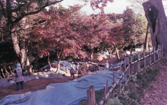 遺跡発掘作業 遺跡発掘作業